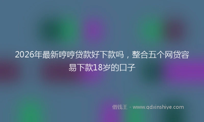 2026年最新哼哼贷款好下款吗,整合五个网贷容易下款18岁的口子
