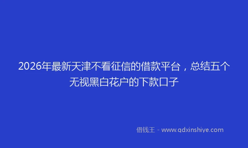2026年最新天津不看征信的借款平台,总结五个无视黑白花户的下款口子