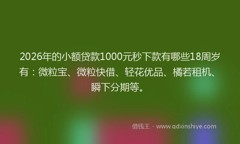 2026年的小额贷款1000元秒下款有哪些18周岁有：微粒宝、微粒快借、轻花优品、橘若租机、瞬下分期等。