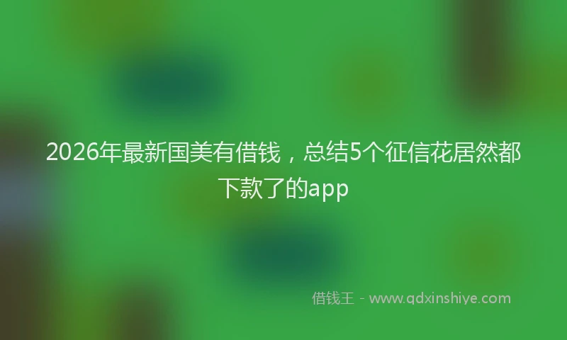 2026年最新国美有借钱，总结5个征信花居然都下款了的app