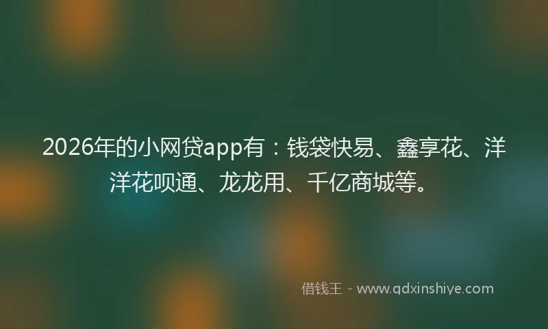 2026年的小网贷app有：钱袋快易、鑫享花、洋洋花呗通、龙龙用、千亿商城等。