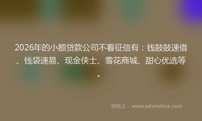 2026年的小额贷款公司不看征信有：钱鼓鼓速借、钱袋速易、现金侠士、雪花商城、甜心优选等。