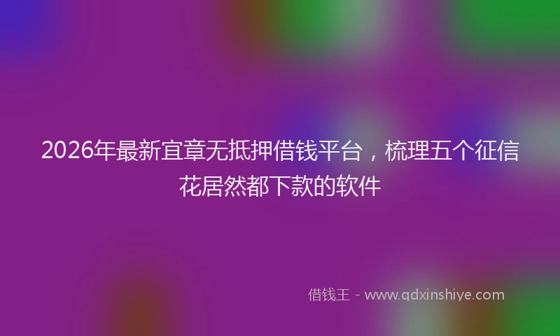 2026年最新宜章无抵押借钱平台，梳理五个征信花居然都下款的软件