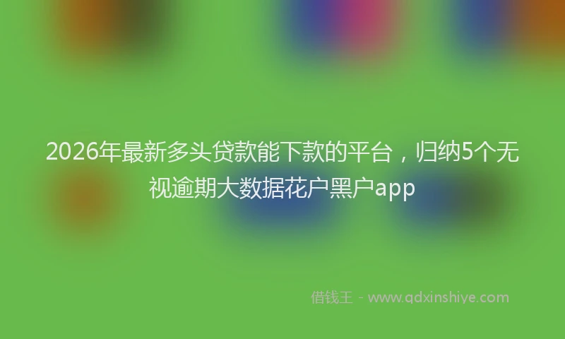 2026年最新多头贷款能下款的平台,归纳5个无视逾期大数据花户黑户app