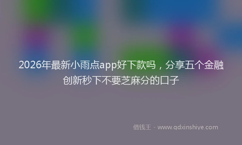 2026年最新小雨点app好下款吗，分享五个金融创新秒下不要芝麻分的口子