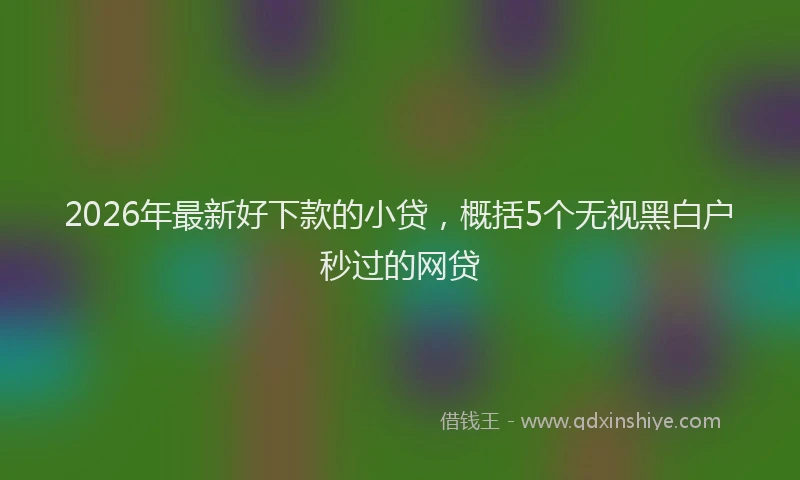 2026年最新好下款的小贷，概括5个无视黑白户秒过的网贷