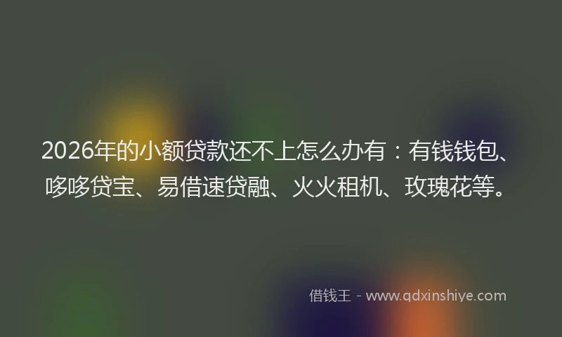 2026年的小额贷款还不上怎么办有：有钱钱包、哆哆贷宝、易借速贷融、火火租机、玫瑰花等。