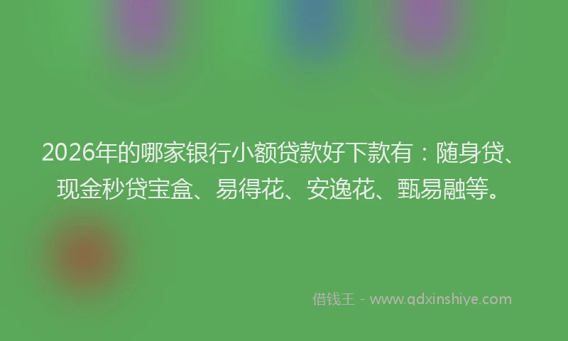 2026年的哪家银行小额贷款好下款有：随身贷、现金秒贷宝盒、易得花、安逸花、甄易融等。