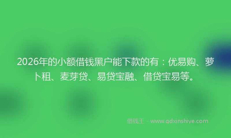 2026年的小额借钱黑户能下款的有：优易购、萝卜租、麦芽贷、易贷宝融、借贷宝易等。