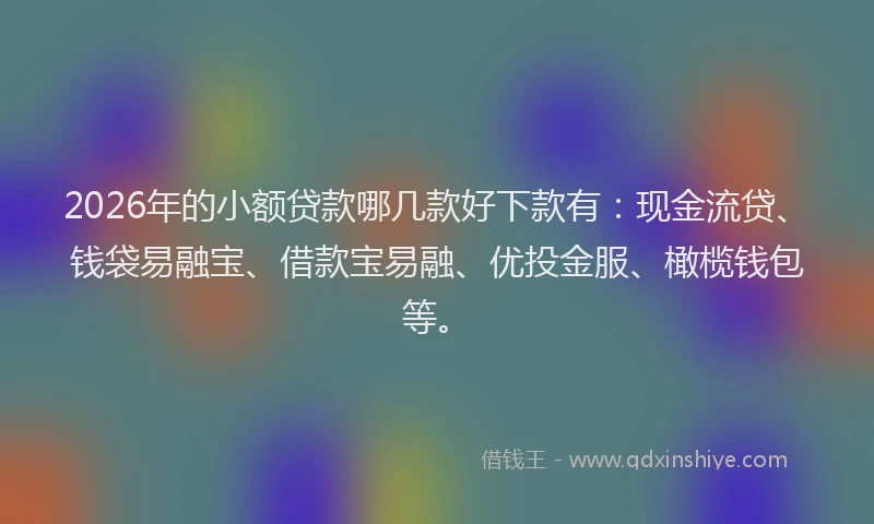 2026年的小额贷款哪几款好下款有：现金流贷、钱袋易融宝、借款宝易融、优投金服、橄榄钱包等。