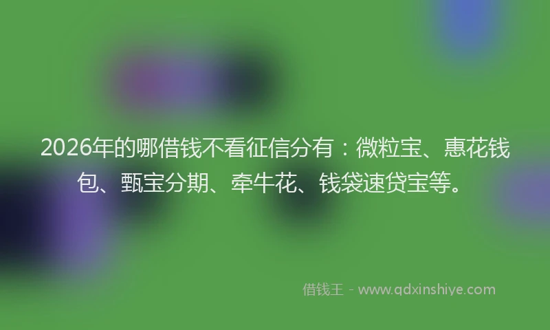 2026年的哪借钱不看征信分有:微粒宝、惠花钱包、甄宝分期、牵牛花、钱袋速贷宝等。