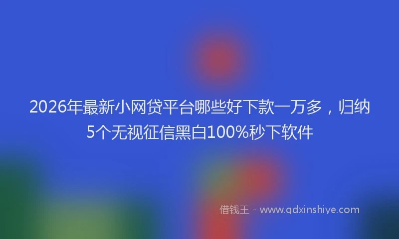2026年最新小网贷平台哪些好下款一万多，归纳5个无视征信黑白100%秒下软件
