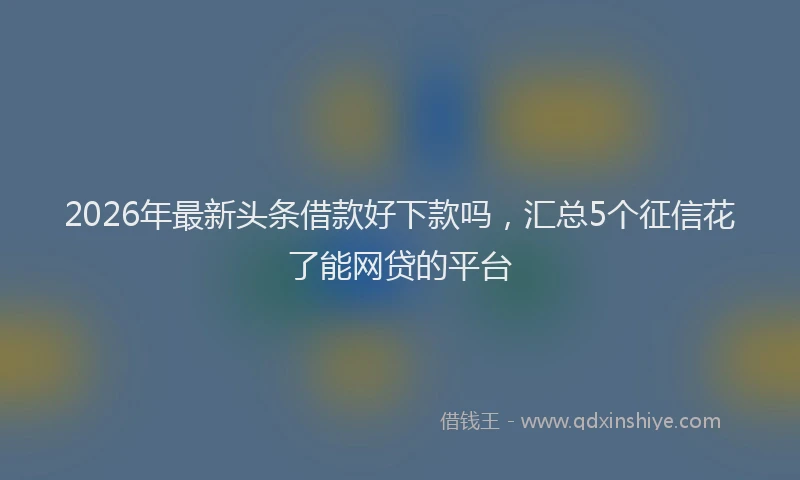 2026年最新头条借款好下款吗，汇总5个征信花了能网贷的平台