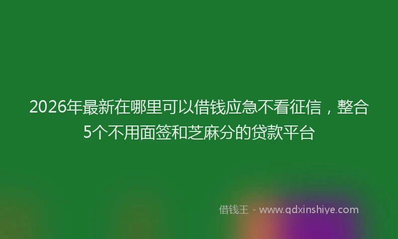 2026年最新在哪里可以借钱应急不看征信，整合5个不用面签和芝麻分的贷款平台