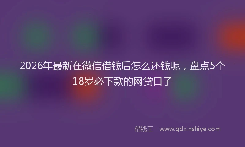 2026年最新在微信借钱后怎么还钱呢，盘点5个18岁必下款的网贷口子
