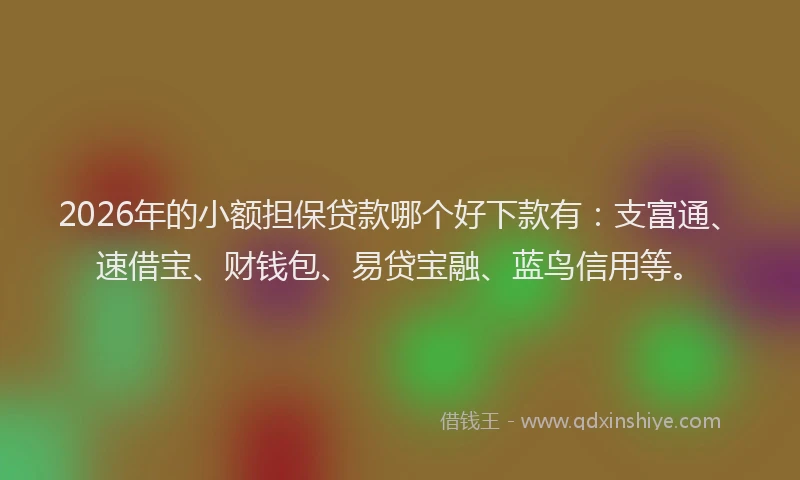 2026年的小额担保贷款哪个好下款有：支富通、速借宝、财钱包、易贷宝融、蓝鸟信用等。
