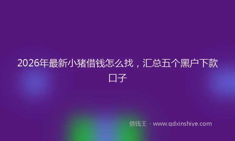 2026年最新小猪借钱怎么找，汇总五个黑户下款口子