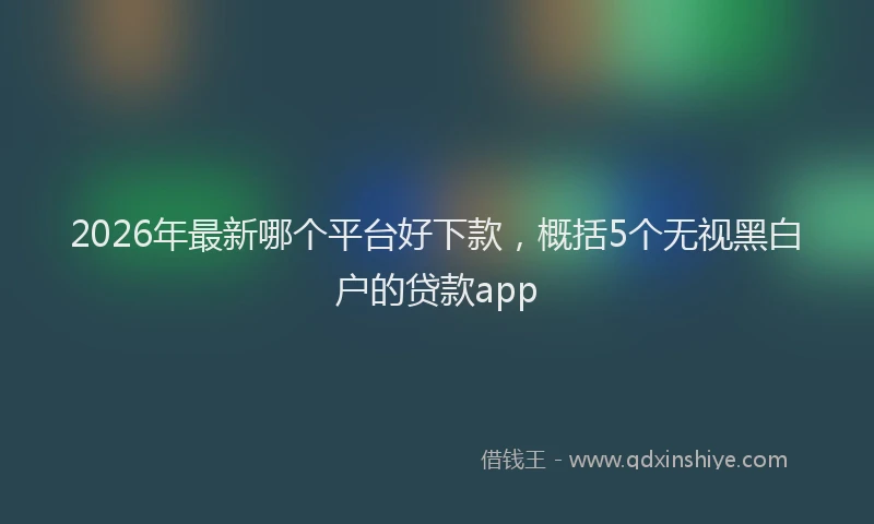 2026年最新哪个平台好下款，概括5个无视黑白户的贷款app