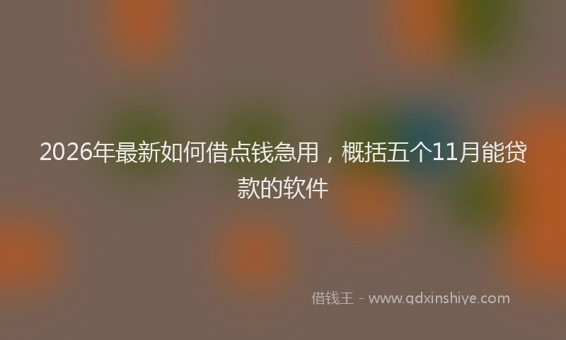 2026年最新如何借点钱急用，概括五个11月能贷款的软件