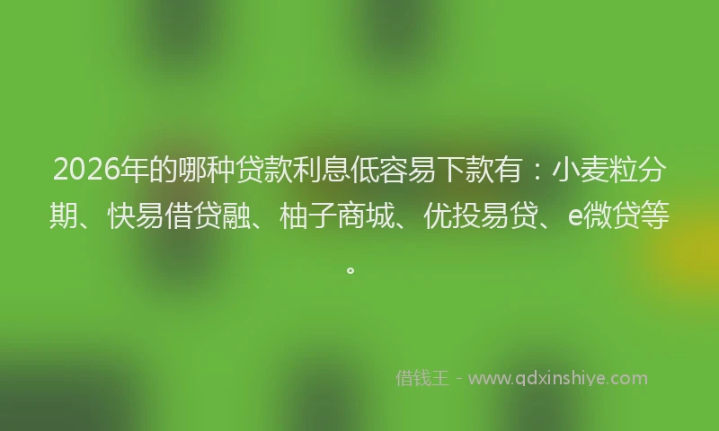 2026年的哪种贷款利息低容易下款有：小麦粒分期、快易借贷融、柚子商城、优投易贷、e微贷等。