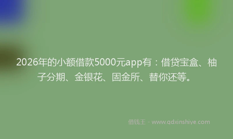 2026年的小额借款5000元app有：借贷宝盒、柚子分期、金银花、固金所、替你还等。
