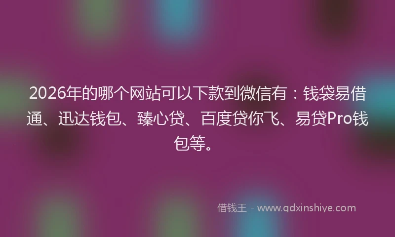 2026年的哪个网站可以下款到微信有:钱袋易借通、迅达钱包、臻心贷、百度贷你飞、易贷Pro钱包等。