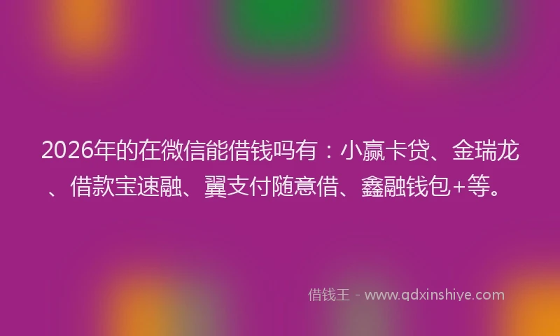 2026年的在微信能借钱吗有:小赢卡贷、金瑞龙、借款宝速融、翼支付随意借、鑫融钱包+等。