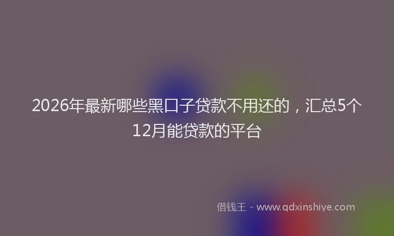 2026年最新哪些黑口子贷款不用还的,汇总5个12月能贷款的平台