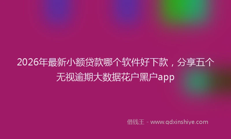 2026年最新小额贷款哪个软件好下款，分享五个无视逾期大数据花户黑户app
