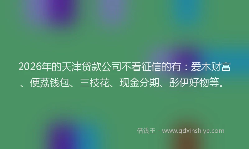 2026年的天津贷款公司不看征信的有：爱木财富、便荔钱包、三枝花、现金分期、彤伊好物等。