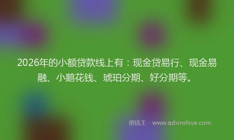 2026年的小额贷款线上有：现金贷易行、现金易融、小鹅花钱、琥珀分期、好分期等。