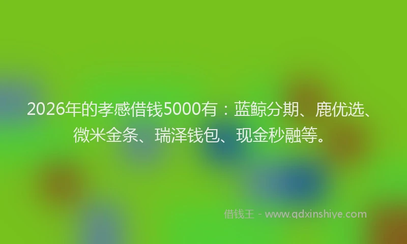 2026年的孝感借钱5000有：蓝鲸分期、鹿优选、微米金条、瑞泽钱包、现金秒融等。