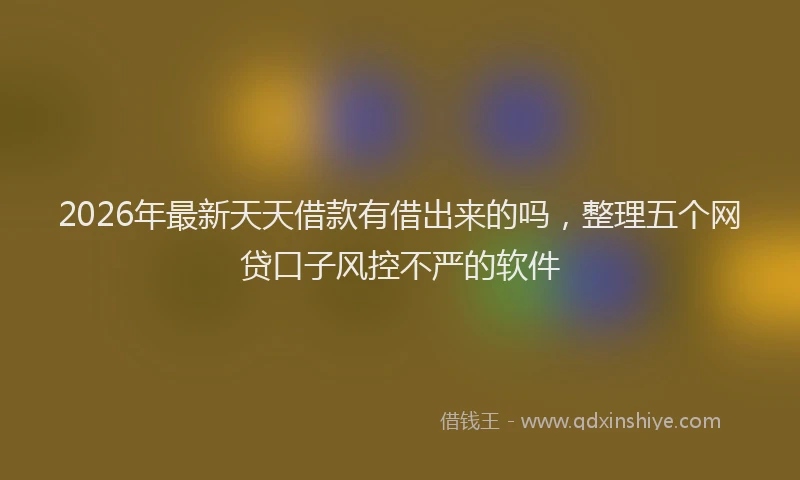 2026年最新天天借款有借出来的吗,整理五个网贷口子风控不严的软件