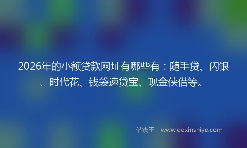 2026年的小额贷款网址有哪些有：随手贷、闪银、时代花、钱袋速贷宝、现金侠借等。