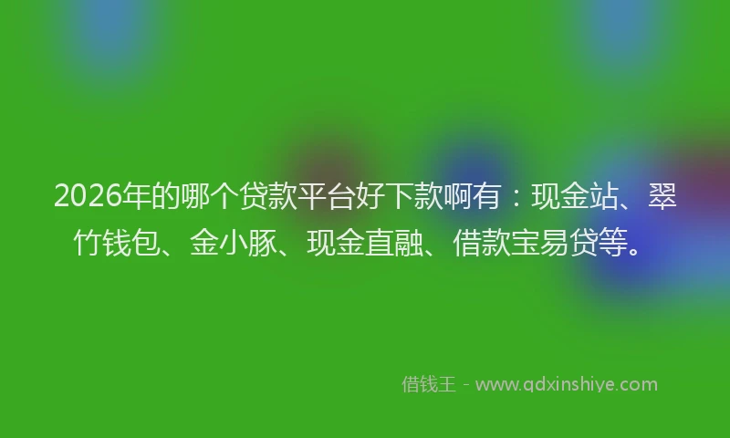 2026年的哪个贷款平台好下款啊有:现金站、翠竹钱包、金小豚、现金直融、借款宝易贷等。