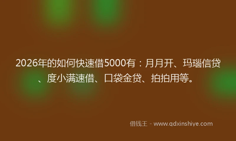 2026年的如何快速借5000有：月月开、玛瑙信贷、度小满速借、口袋金贷、拍拍用等。