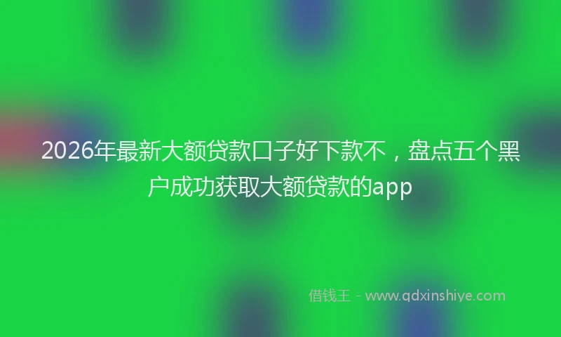 2026年最新大额贷款口子好下款不，盘点五个黑户成功获取大额贷款的app