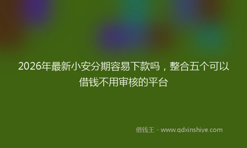 2026年最新小安分期容易下款吗，整合五个可以借钱不用审核的平台