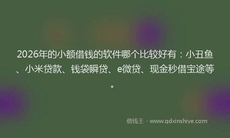 2026年的小额借钱的软件哪个比较好有：小丑鱼、小米贷款、钱袋瞬贷、e微贷、现金秒借宝途等。