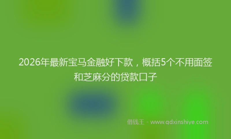 2026年最新宝马金融好下款，概括5个不用面签和芝麻分的贷款口子