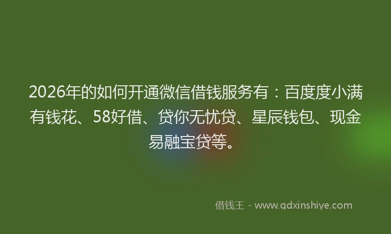 2026年的如何开通微信借钱服务有：百度度小满有钱花、58好借、贷你无忧贷、星辰钱包、现金易融宝贷等。