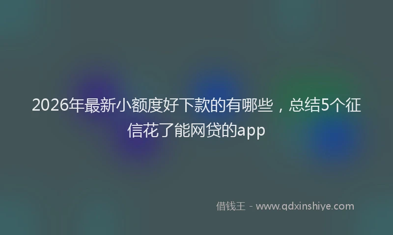 2026年最新小额度好下款的有哪些，总结5个征信花了能网贷的app