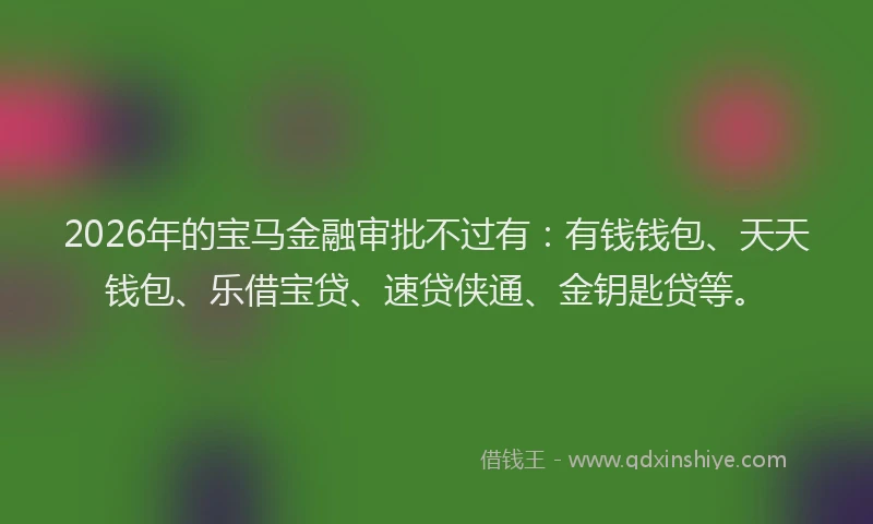 2026年的宝马金融审批不过有：有钱钱包、天天钱包、乐借宝贷、速贷侠通、金钥匙贷等。