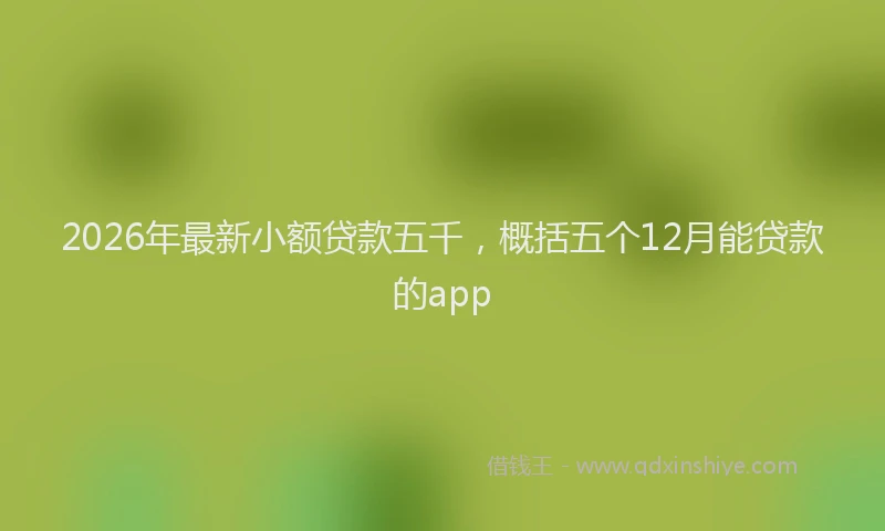 2026年最新小额贷款五千，概括五个12月能贷款的app
