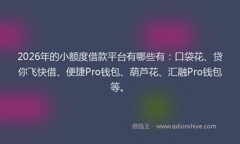 2026年的小额度借款平台有哪些有：口袋花、贷你飞快借、便捷Pro钱包、葫芦花、汇融Pro钱包等。