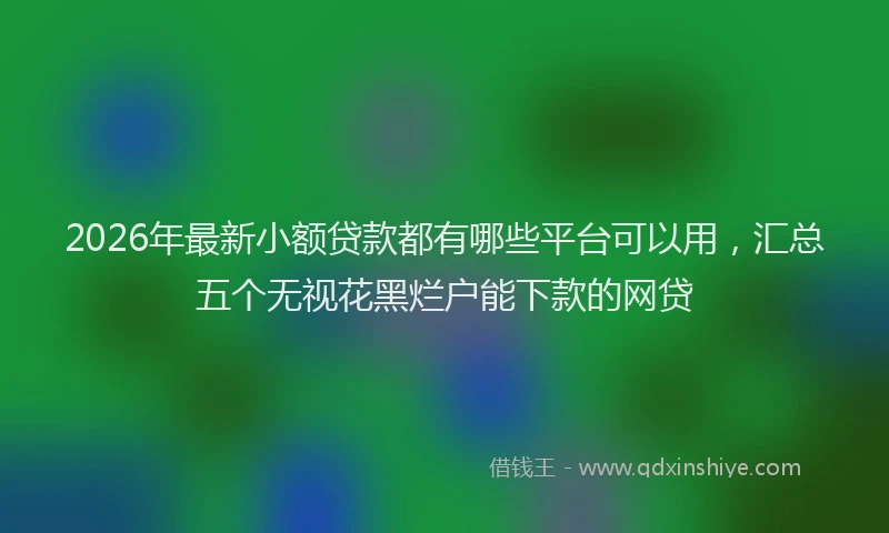 2026年最新小额贷款都有哪些平台可以用，汇总五个无视花黑烂户能下款的网贷