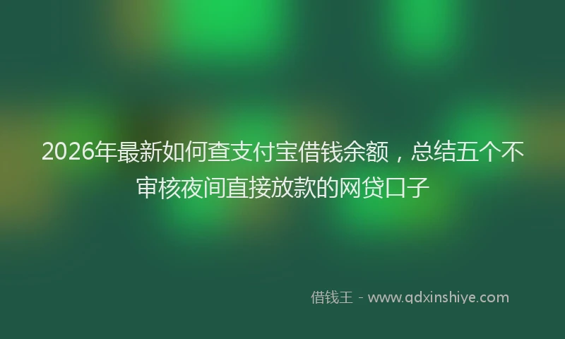 2026年最新如何查支付宝借钱余额，总结五个不审核夜间直接放款的网贷口子