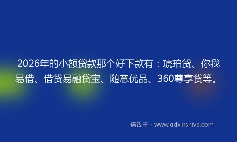 2026年的小额贷款那个好下款有：琥珀贷、你我易借、借贷易融贷宝、随意优品、360尊享贷等。
