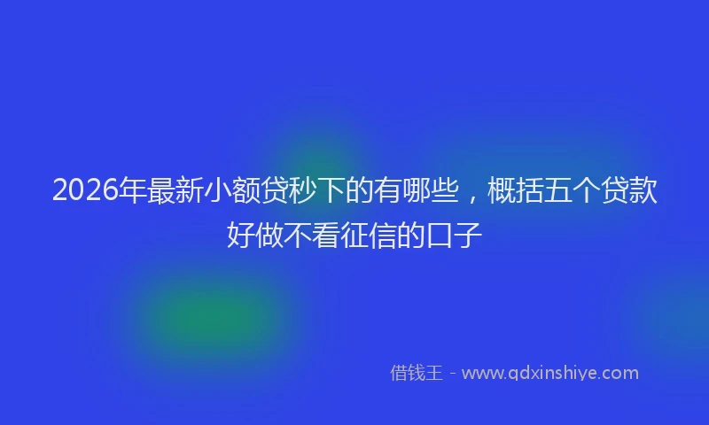 2026年最新小额贷秒下的有哪些，概括五个贷款好做不看征信的口子