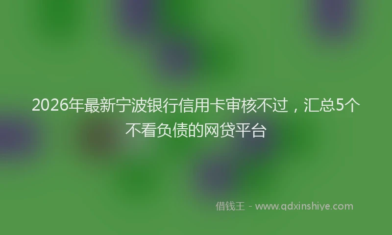 2026年最新宁波银行信用卡审核不过，汇总5个不看负债的网贷平台